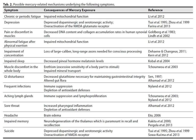 Mercury from dental amalgams exposure and effects